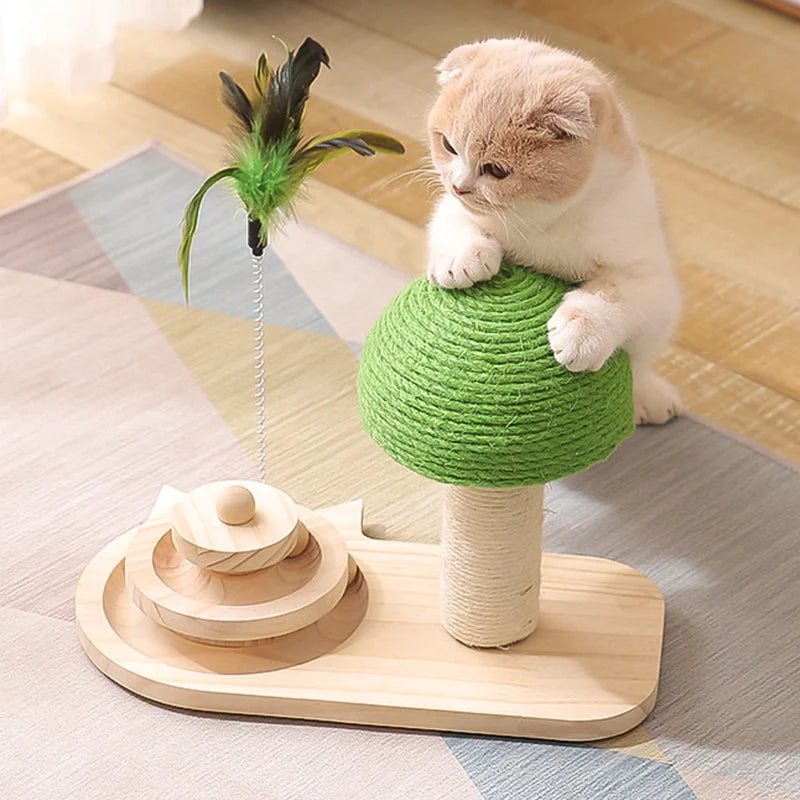 Cats